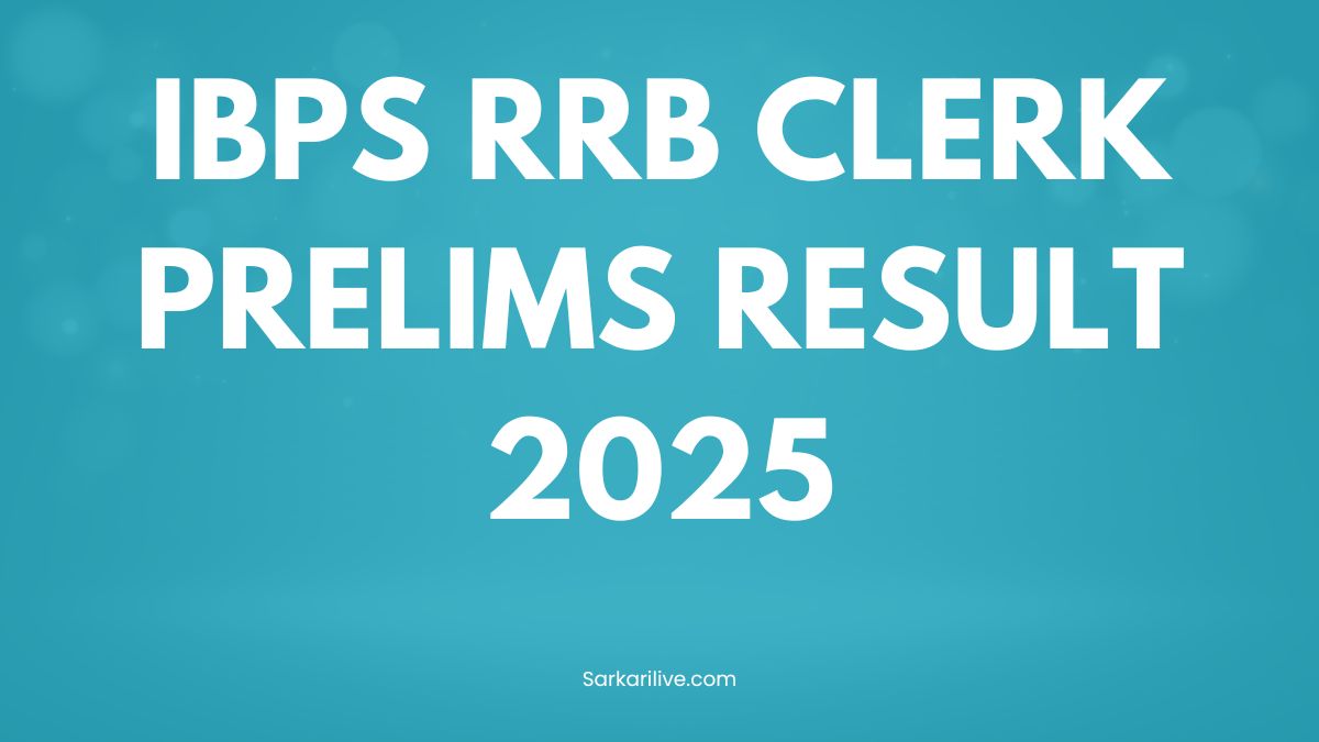 Ibps rrb clerk prelims result 2025